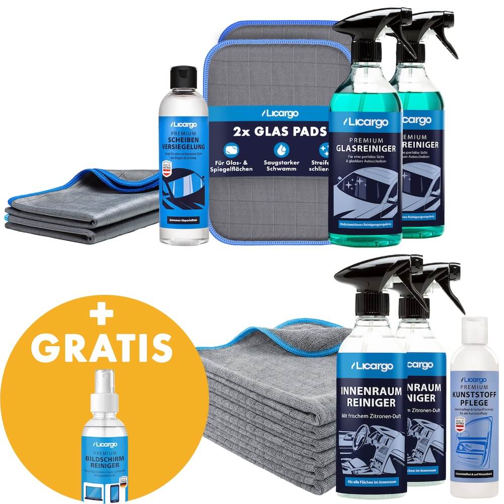 Dein Auto-Wellness-Set=>Rundum-Sorglos-Paket für einen makellos sauberen Fahrzeug Innenraum und streifenfreie Autoscheiben. Inkl. Gratis Bildschirmreiniger – 300 ml
