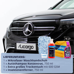 Auto Gummipflege mit Schwammaufträger  LICARGO Autopflege – Licargo -  Autopflege Shop