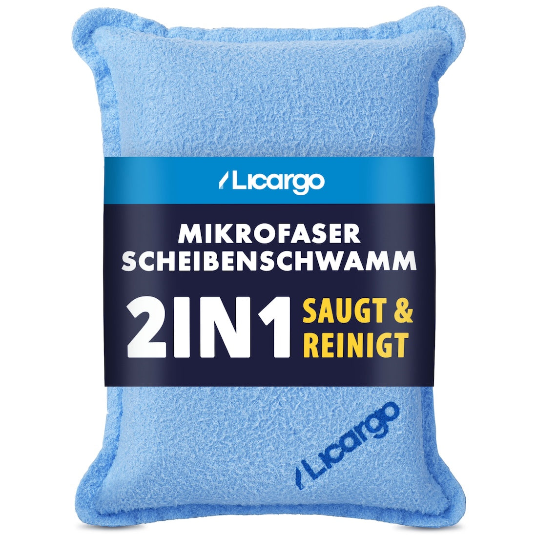 Scheibenschwamm