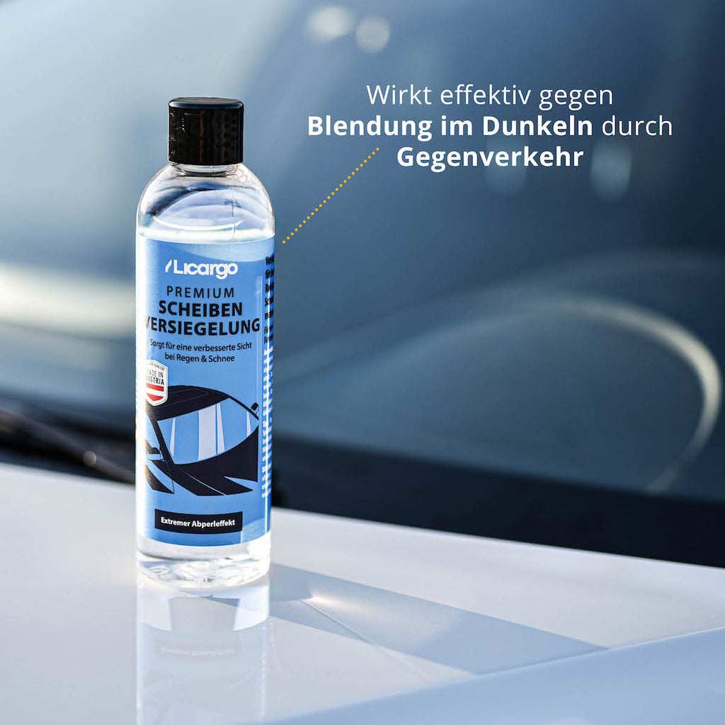 CAR XTRAS Autoscheiben Reinigungs-Set, Scheiben Innenreiniger + Eiskratzer  blau