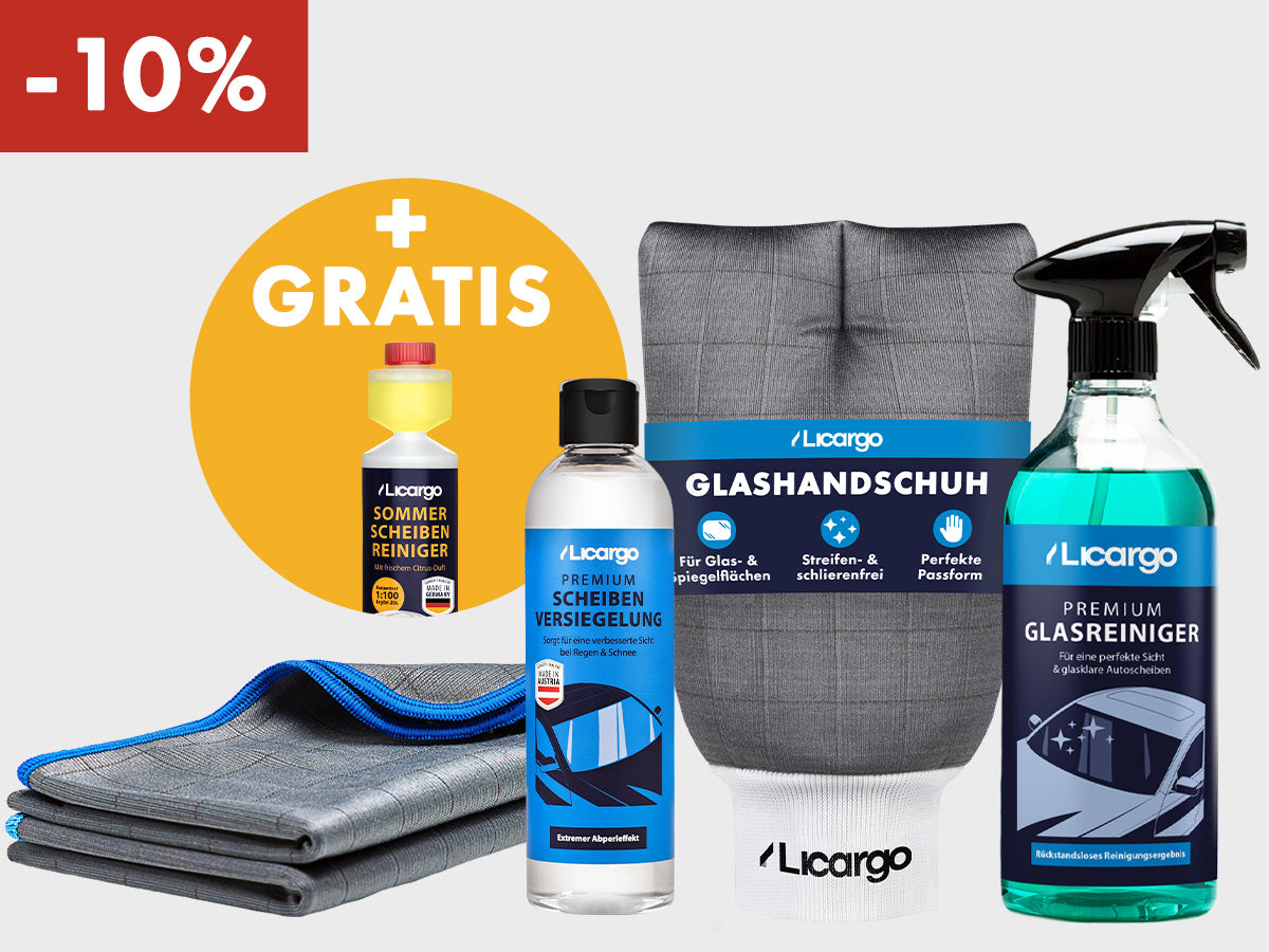 Scheibenversiegelungs Set Angebot