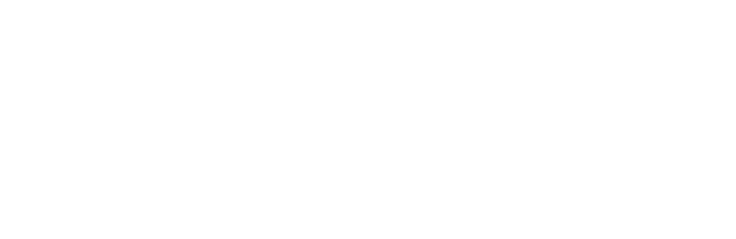Licargo logo